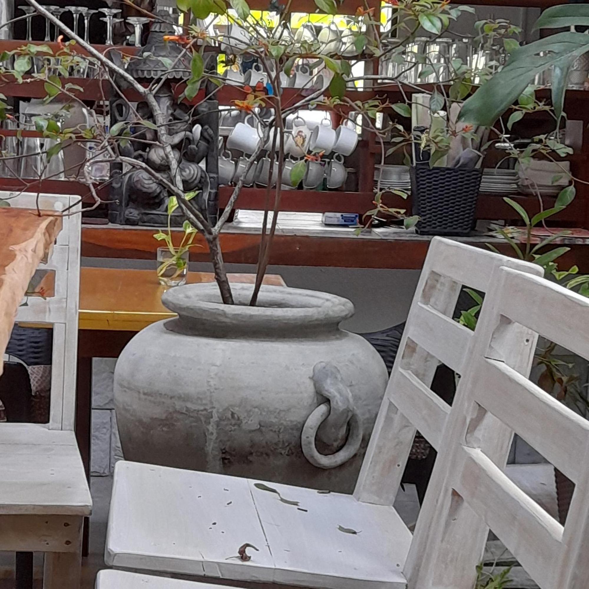 Shoba Traveller'S Tree Homes Stay Galle Extérieur photo
