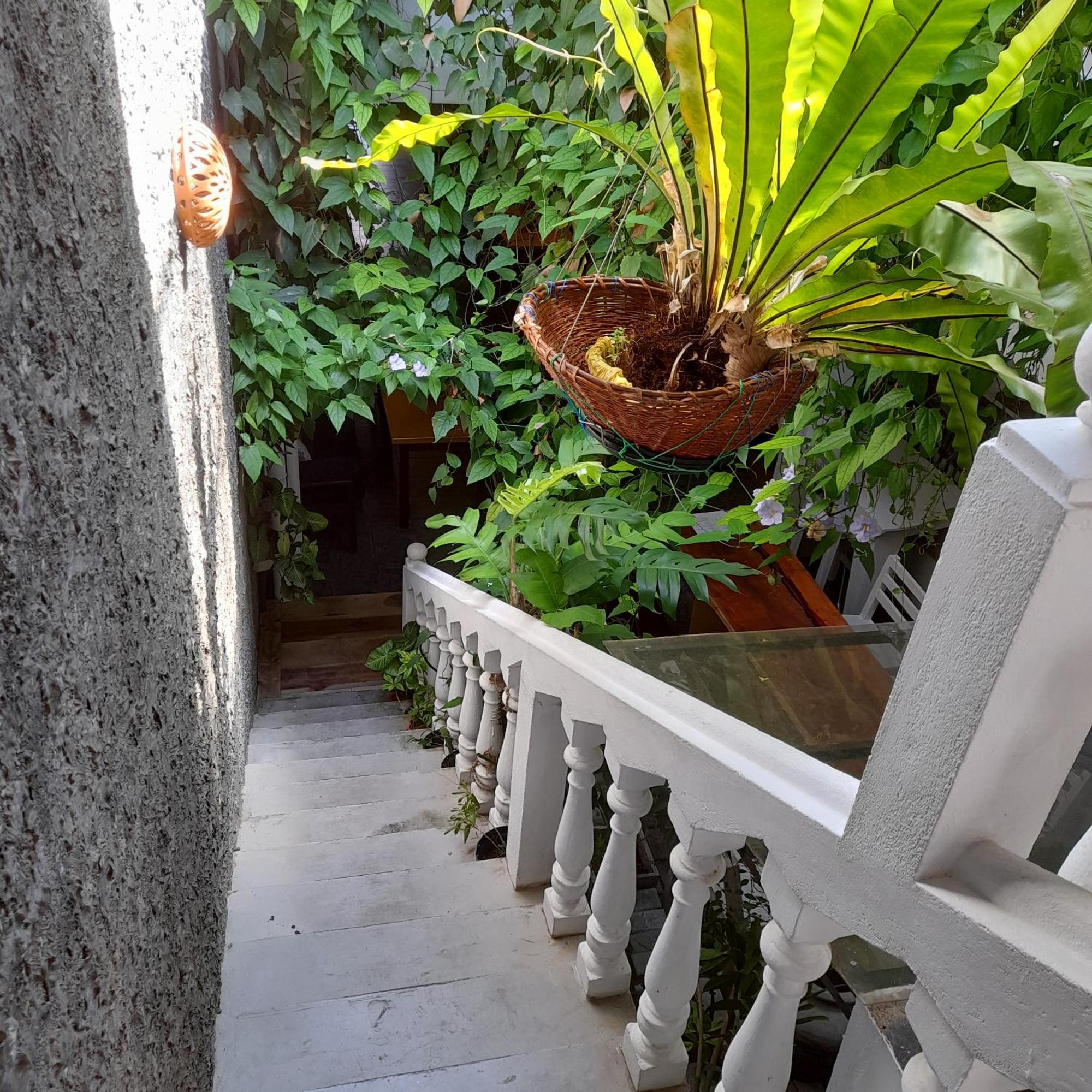 Shoba Traveller'S Tree Homes Stay Galle Extérieur photo
