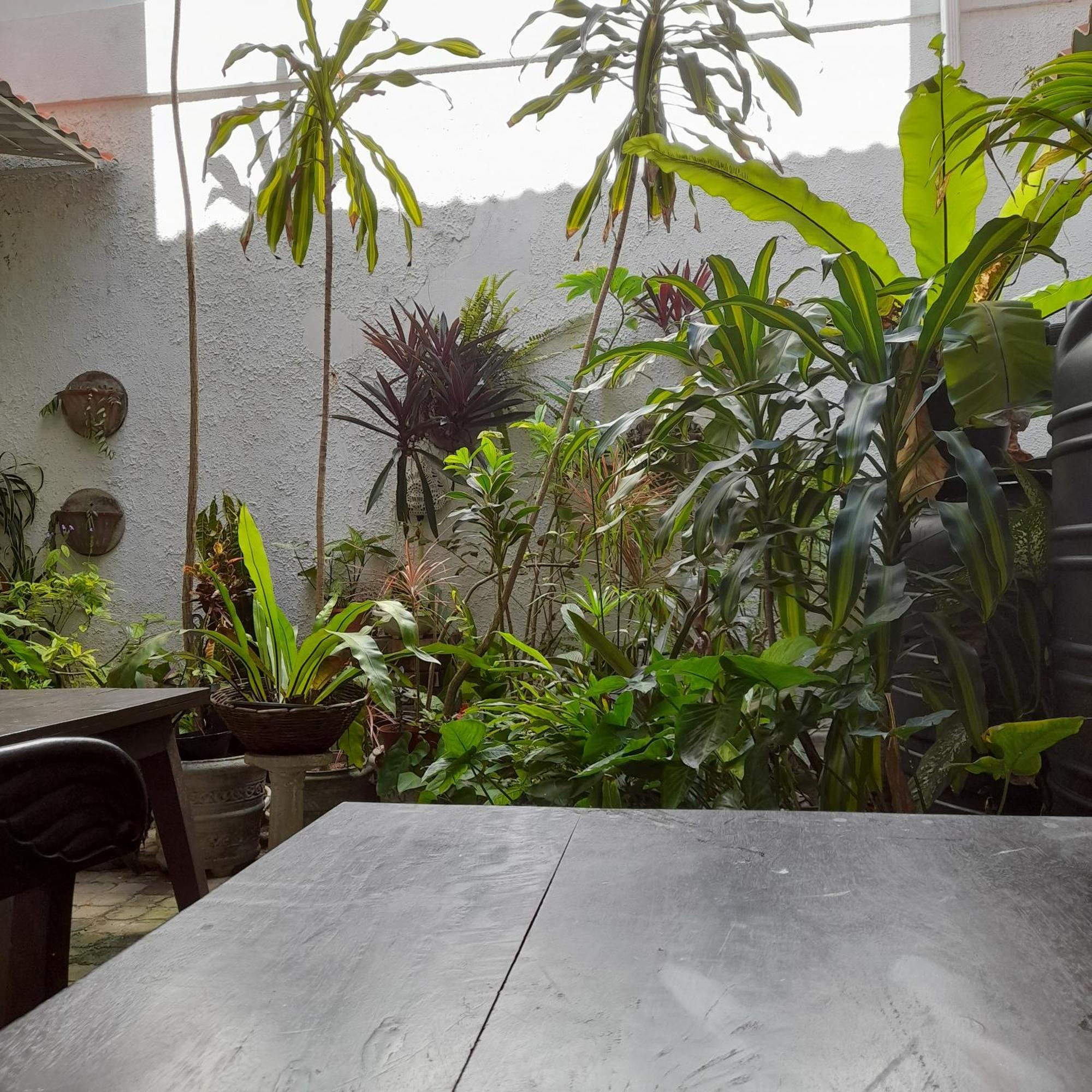 Shoba Traveller'S Tree Homes Stay Galle Extérieur photo