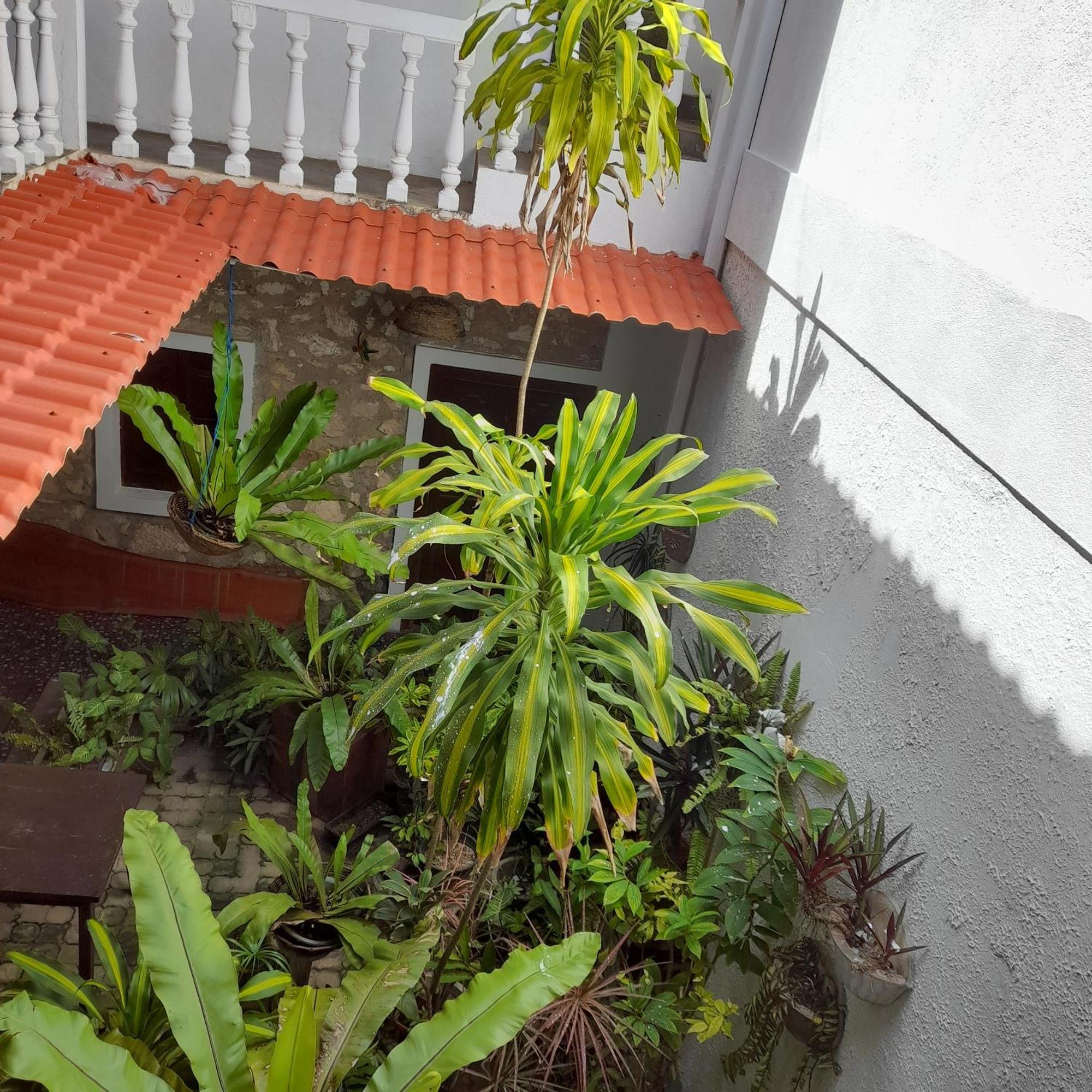 Shoba Traveller'S Tree Homes Stay Galle Extérieur photo