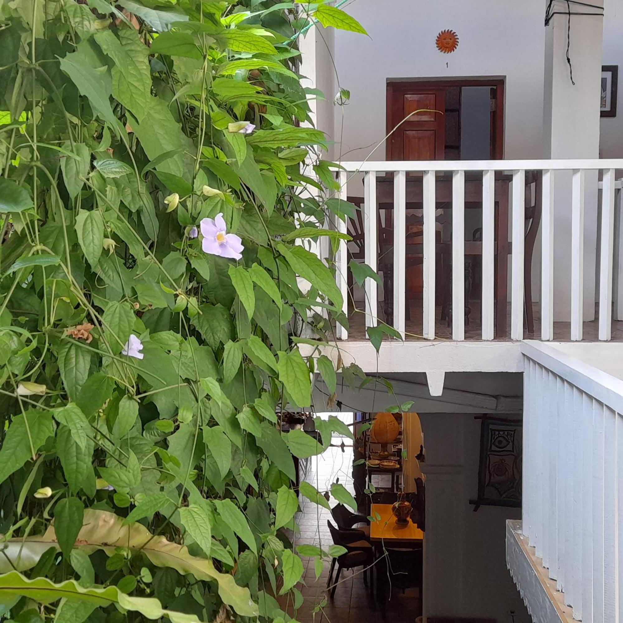 Shoba Traveller'S Tree Homes Stay Galle Extérieur photo