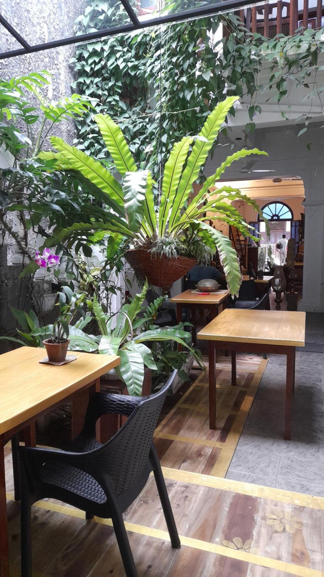 Shoba Traveller'S Tree Homes Stay Galle Extérieur photo