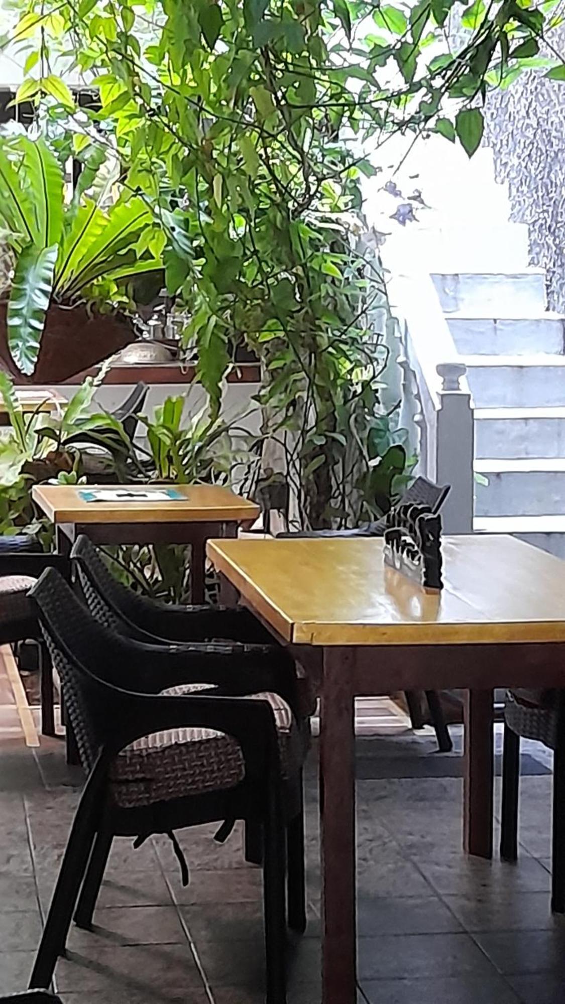 Shoba Traveller'S Tree Homes Stay Galle Extérieur photo